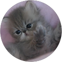 Valérie Albrand profile picture